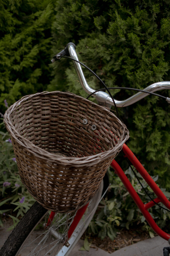 bike with basket